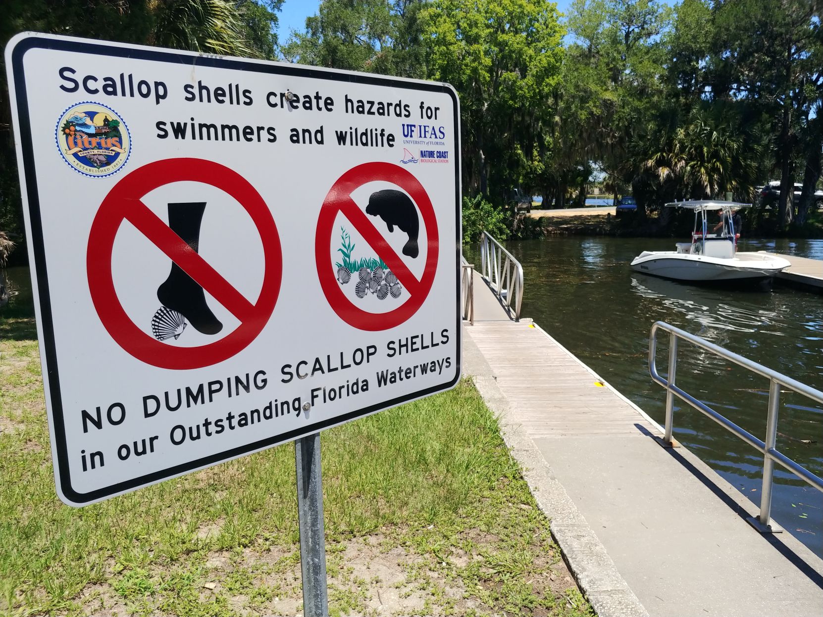 scallop shell sign